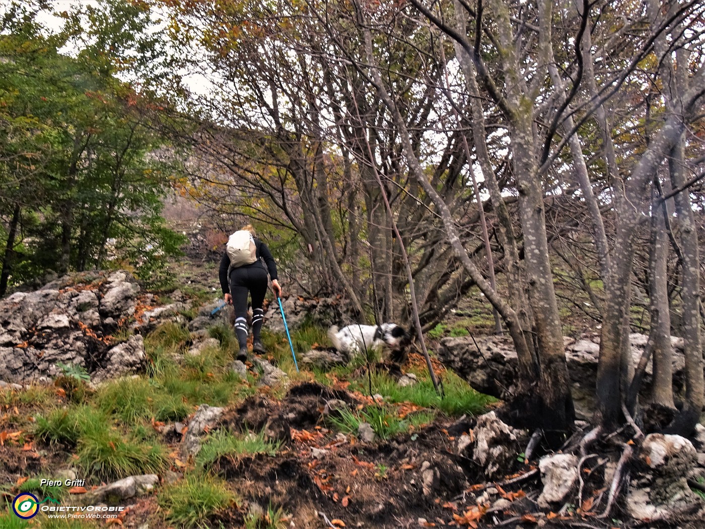 27 Da qui in poi la cima del Corno Zuccone riporta marcati segni di incendio estivo.JPG